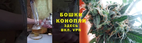PSILOCYBIN Лиски