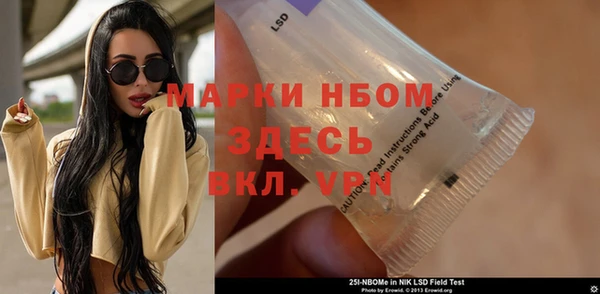 прущие грибы Кукмор