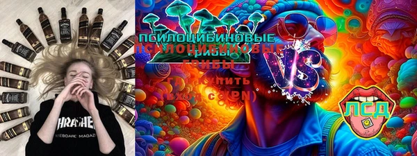 винт Липки