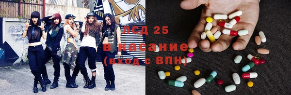 прущие грибы Кукмор