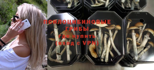 PSILOCYBIN Лиски