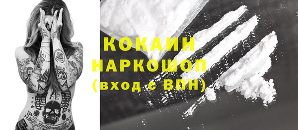 PSILOCYBIN Лиски