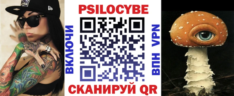 Псилоцибиновые грибы Psilocybe  Купить где  Гурьевск 